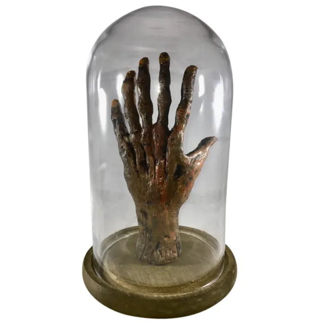 Bizarre! 6 Finger Mummified Mummy Hand Gaff Curriosity Medical Specimen Oddity 2