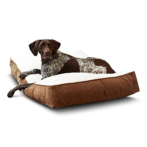 South Pine Porch Buddy Rectangle Pillow Style Dog Bed Latte Sherpa Medium 42"...