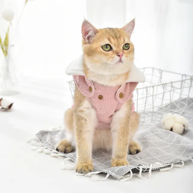 Chaleco para mascotas adorable cosplay moda chaqueta para mascotas disfraz no alérgico