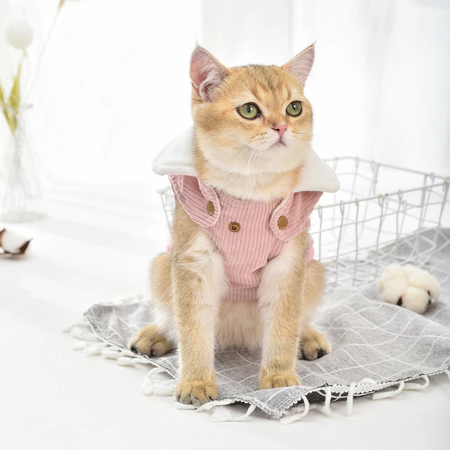 Chaleco para mascotas adorable cosplay moda chaqueta para mascotas disfraz no alérgico
