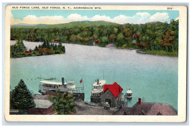 Bird's Eye View Of Old Forge Lake Adirondack Mountains New York NY  Postcard