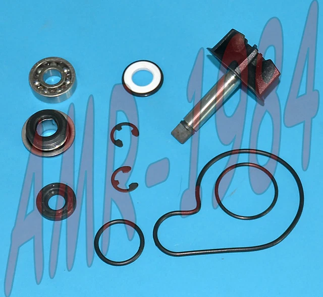 Set Révision Pompe à Eau H2O Suzuki Burgman 125 150 200 250 400 AA00819