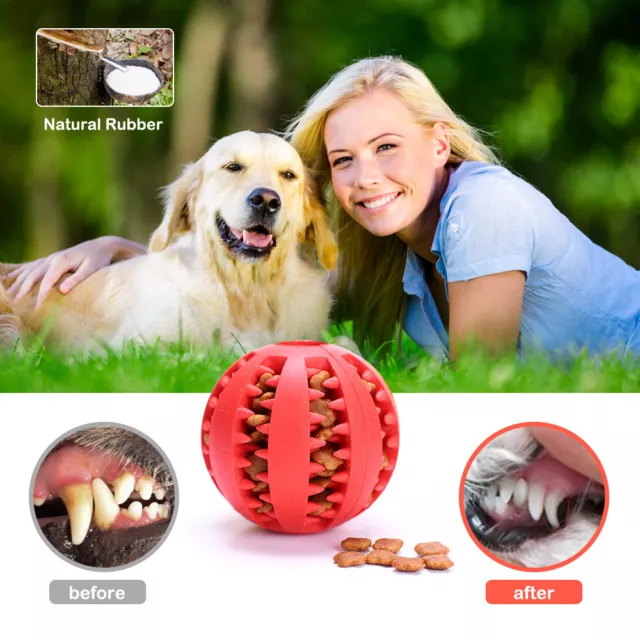 Hund Treat Ball Interaktives Chewy Spielzeug Zahnreinigung Futterspender Feeder♡ 2