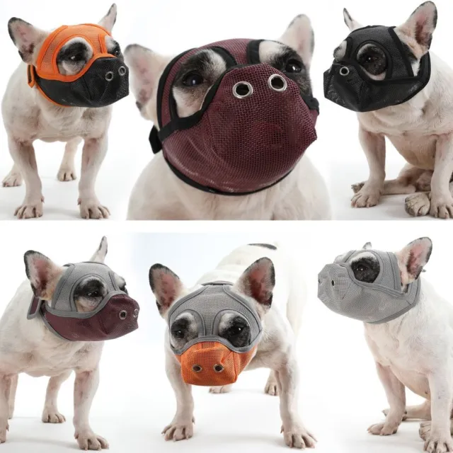 Hocico anti ladridos mascota perro bulldog francés morder malla facial masticar