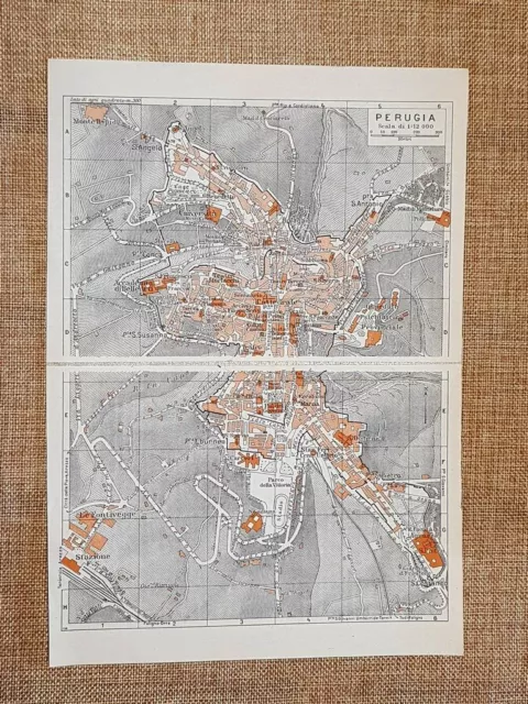 1939 map, plant or seedling The city of Perugia Umbria T.C.I.