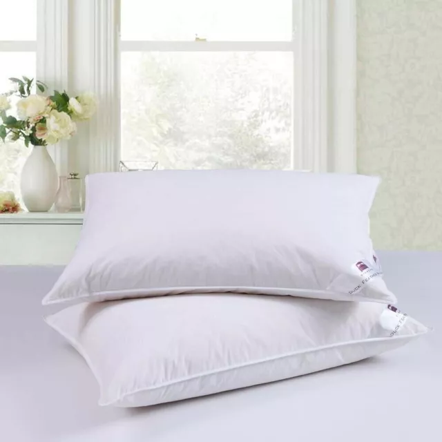 Goose Feather & Down Pillows Pillow Extra Filled Hotel Quality Pack Of 2