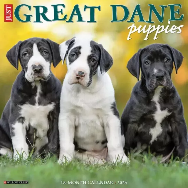 Willow Creek Just Great Dane Puppies 2024 12 x 12 Wall Calendar w