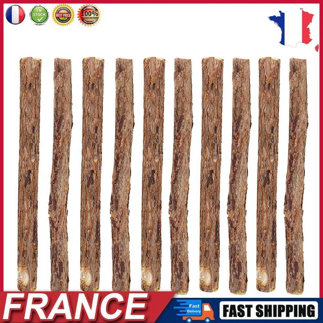 10pcs Natural Silvervine Sticks Cats Catnip Teeth Molar Chew Wood Polygonum fr