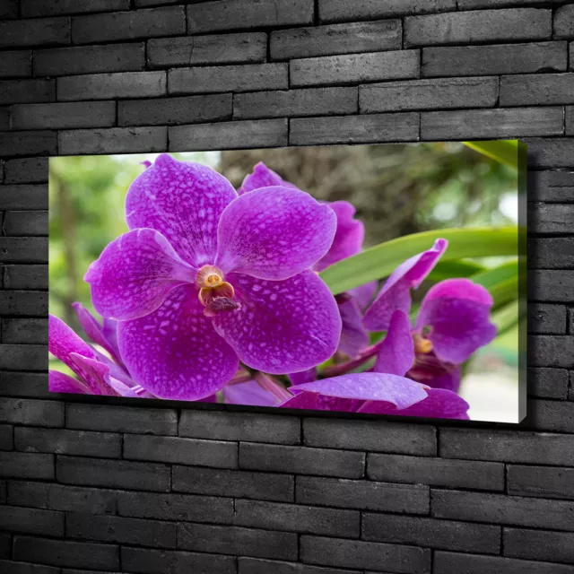 Cuadros Impresión Sobre Lienzo Decorativos De Pared 100x50 Orquídea