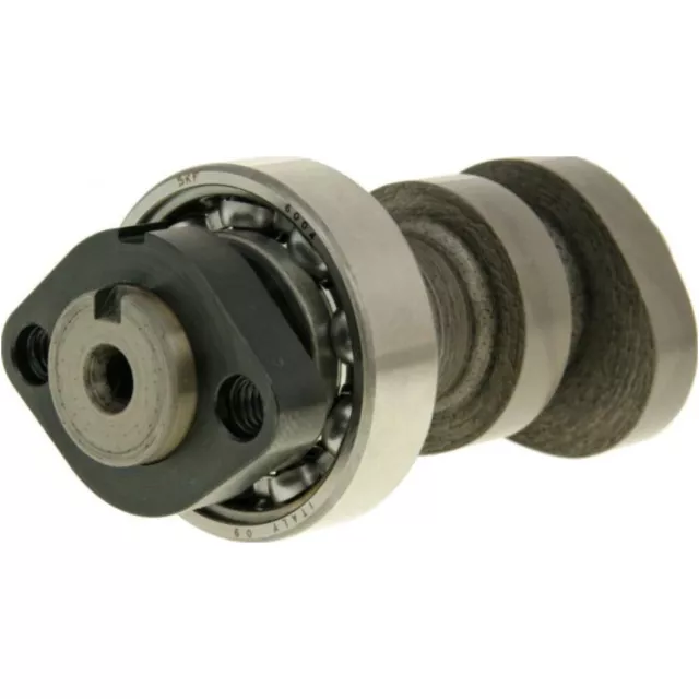 Nockenwelle Malossi Power Cam für Honda SH 300i, NSS 300i M.5914657 SH NSS Forza