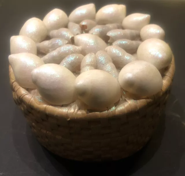 Sweet Grass Small Basket With 5 Woven Coasters. Iridescent Seashells Adorn Lid.
