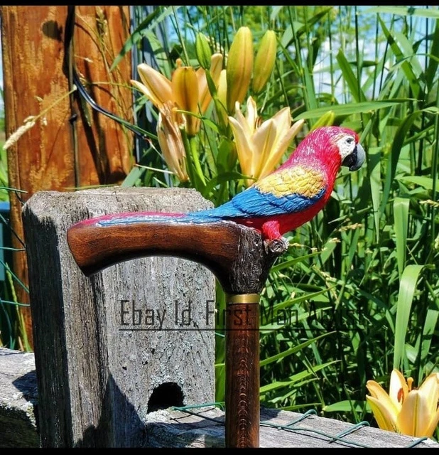 Scarlet Macaw Head Walking Stick Wooden Hand Carved Bird Walking Cane GIFT B