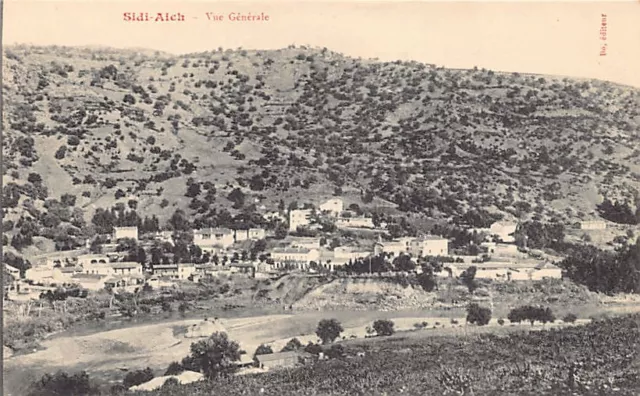 Algérie - SIDI AICH - Vue générale - Ed. Dô