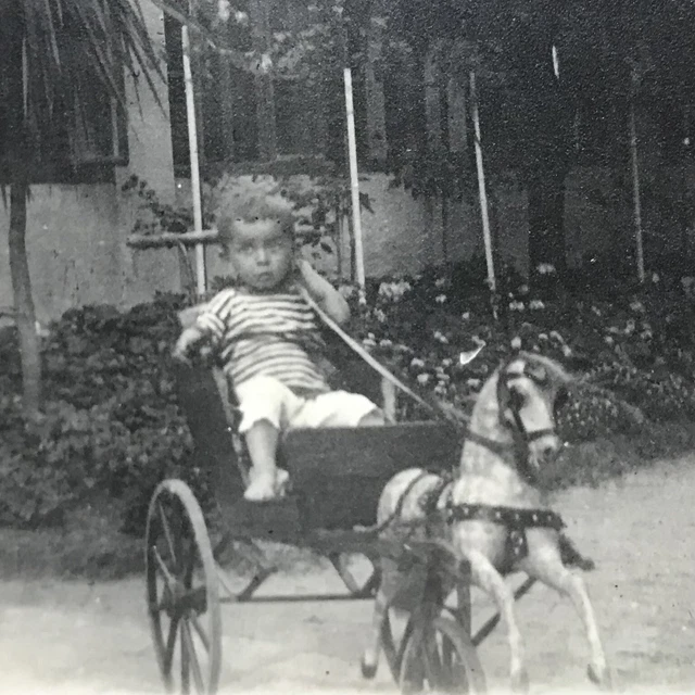 CPA photo 1900 child toy car trolley stroller wooden horse
