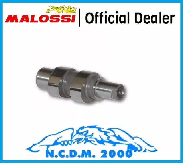 Albero A Camme Power Cam Malossi  Aprilia Scarabeo 50 4T (Piaggio C373M)