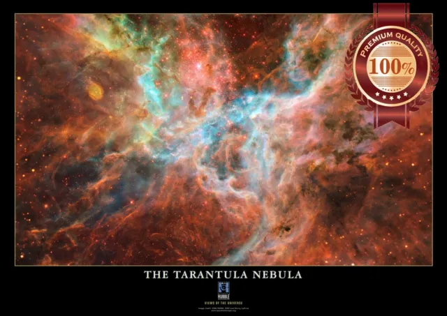 New The Tarantula Nebula Nasa Hubble Space Artwork Wall Art Print Premium Poster
