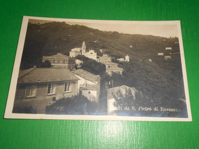 Cartolina Saluti da S. Pietro di Rovereto - Scorcio panoramico 1925 ca