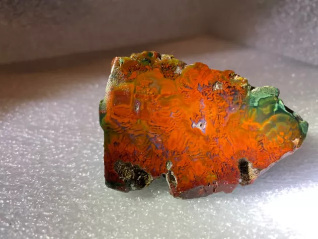 Very Rare Specimen Grade Polished Red Plume Agate from Sardinia,Italy