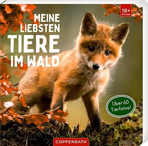 Meine Liebsten Tiere Im Wald - (German Import) Book NEUF