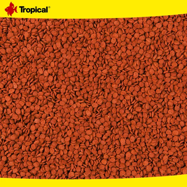 Tropical 3 x 1000 ml Tanganyika Chips | Für Cichliden aus dem Tanganjikasee 2