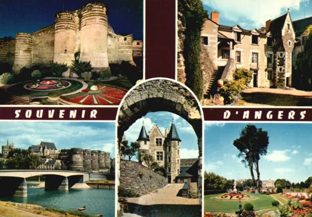 Postcard Les Chateaux De La Loire Angers Maine-Et-Loire La Chateau Illumine