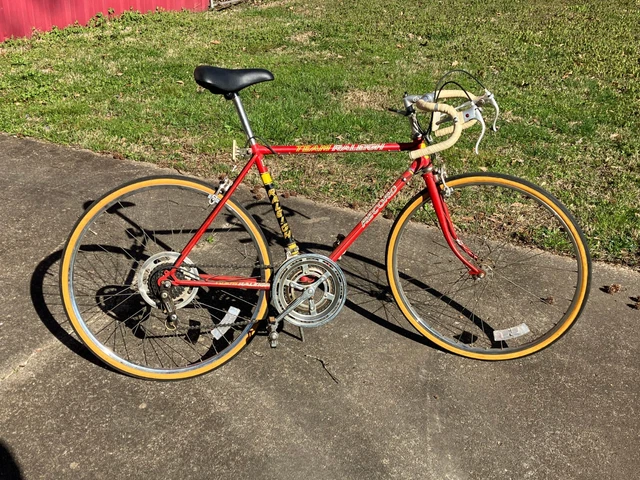1975 Raleigh Team Record 10 speed 1975 Raleigh Team Record 10 speed
