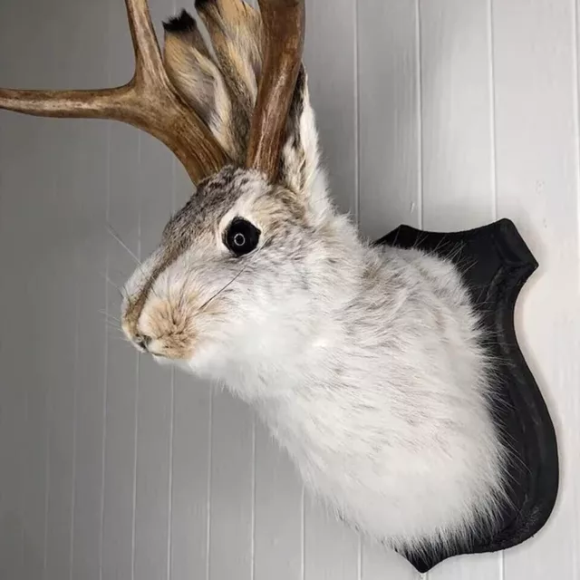 3D Wall Mounted Jackalope Antler Rabbit Head Statue Sculpture Animal Home Decor