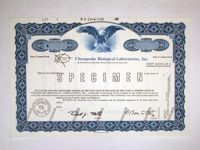 MD. Chesapeake Biological Laboratories, Inc., 1989. Specimen Stock Cert., XF