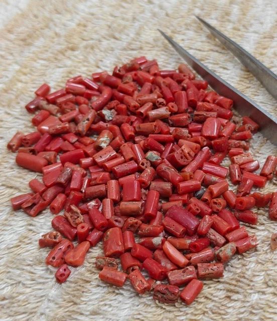 234 Pc Natural White Coral Gemstone Genuine Round Loose Beads For Jewelry Making
