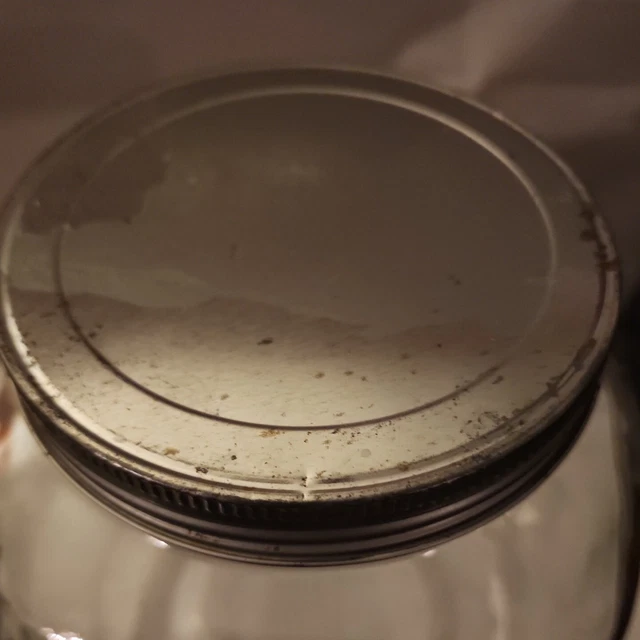 Hoosier Style Jar With Ribbed Edges 3