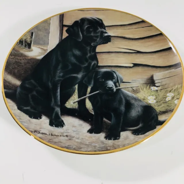 LIKE FATHER LIKE SON Lab dog pet Porcelain Plate, Franklin Mint NIGEL HEMMING