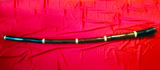 Didgeridoo artigianale in legno di Agave tonalità (LA) A  2022