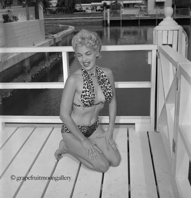 Bunny Yeager 1950s Negative Maria Stinger Blonde Bombshell Leopard Print Bikini