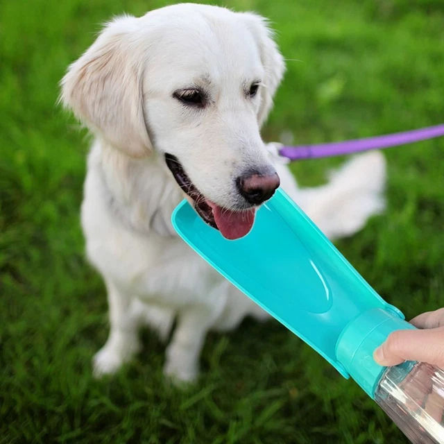 Plastic Dog Water Bottle 550ml Pet Folding Drinker   Small Large Dogs
