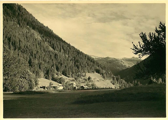 PHOTO 250615 - LES ALPES MORZINE - hamlet châlet mountain landscape