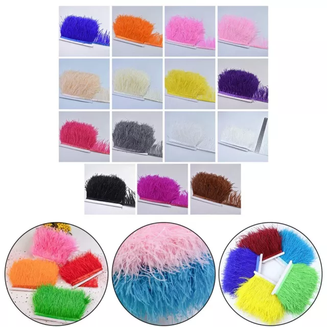 Decoration Ostrich Feather Easy To Use Feather Ribbon Organic Look Easy To Use