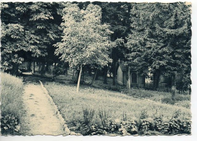 ESSEY LES NANCY - Meurthe & Moselle - CPA 54 - Bas Chateau le parc