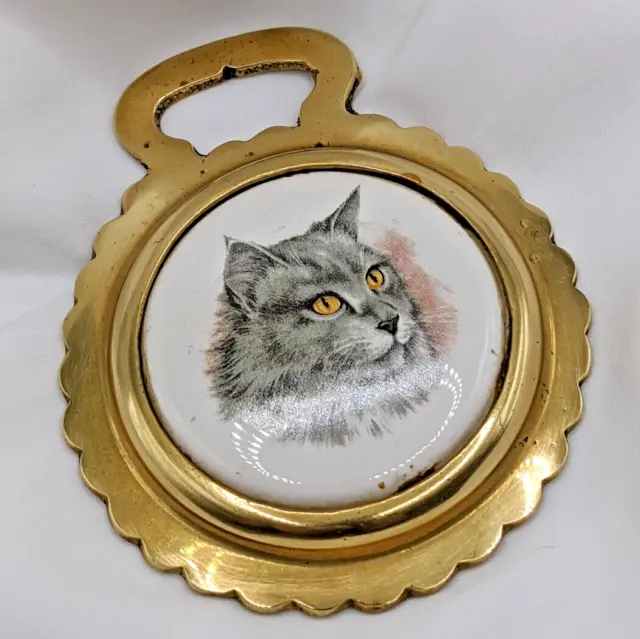 Brass Horse Medallion Vintage Porcelain Kitty Cat Gray Fluffy Parade Harness