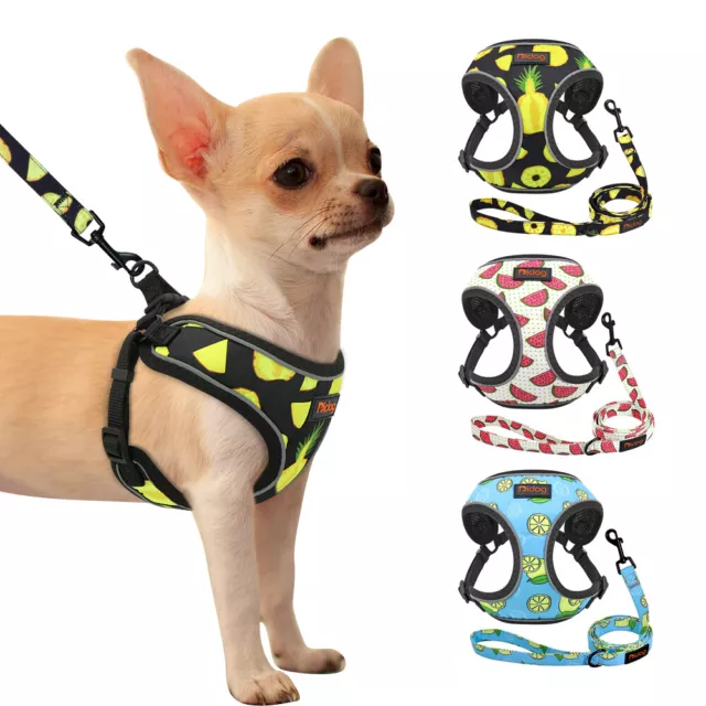 Soft Mesh Fabric Dog Pet Adjustable Harness & Lead Breathable Vest Small Medium