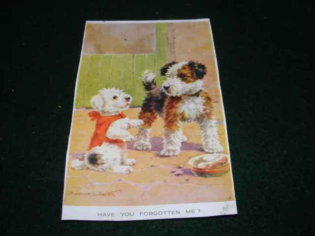 Vintage Postcard Art Humour Florence Valter Animals Dogs Terrier Puppy