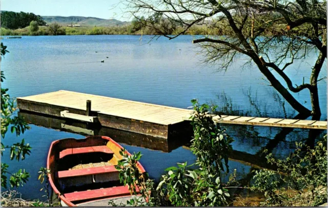 Simi Valley California Sinaloa Lake Row Boat Chrome Postcard A65