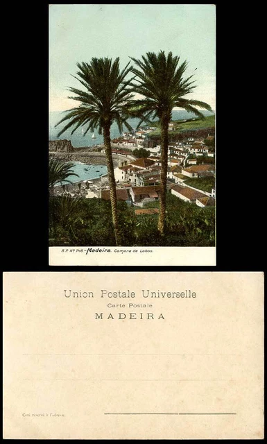 Portugal alte Farbe UB Postkarte MADEIRA Camara de Lobos Palmen Hafen Boote
