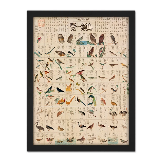 KATO CHIKUSAI SPECIES of Birds Japanese Framed Wall Art Print 18X24 In