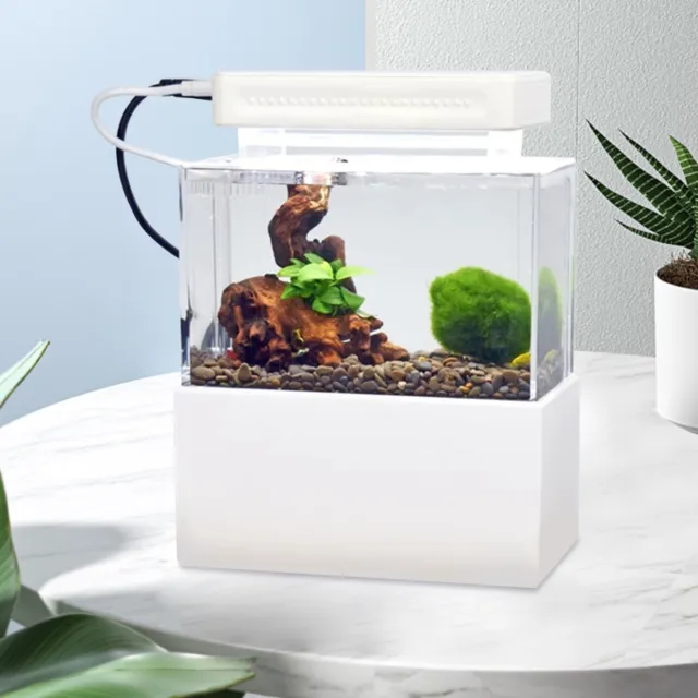 Mini Ecological Grass Tank Desktop Aquarium Home/Office Acrylic Fish Aquarium