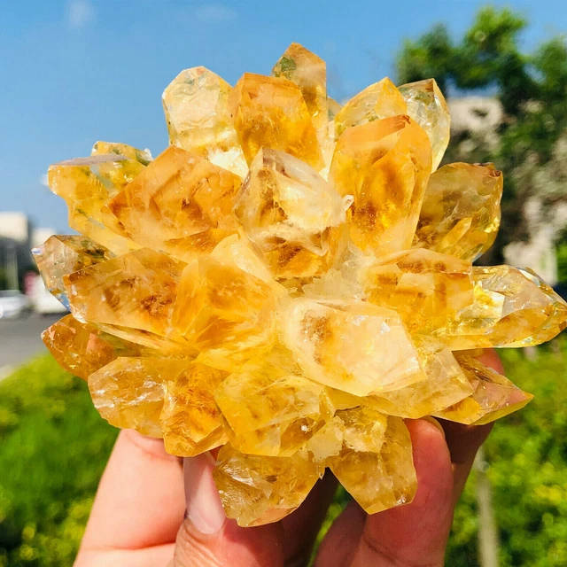 New Find yellow Phantom Quartz Crystal Cluster Mineral Specimen reiki 300g+ 1pc