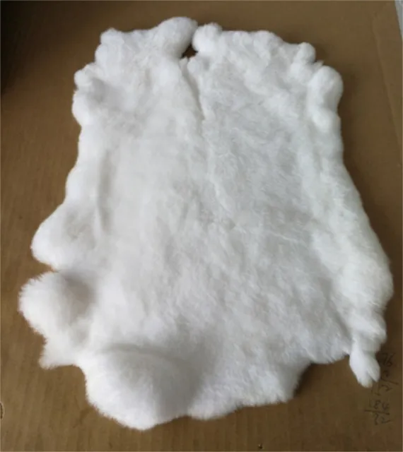 1PCS WHITE REX Rabbit Skin Real Fur Pelt for Animal Training Crafts Fly Tying