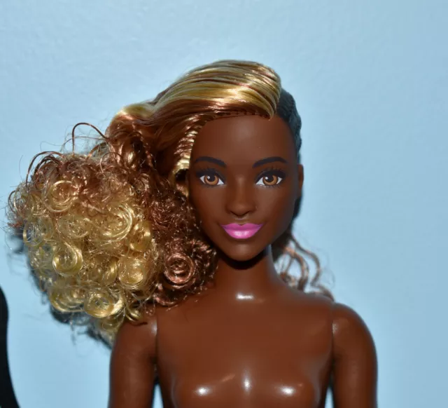 CURVY Zig & Zag AA Fashionista Barbie Doll #57 DVX79 - Curly Hair, Cornrows Look