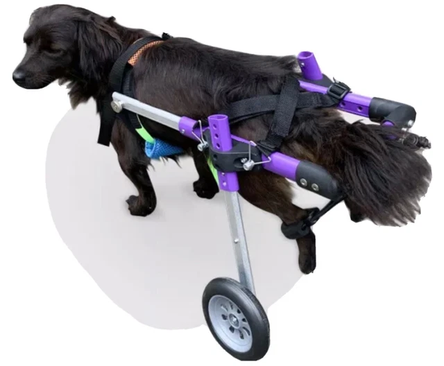 Small Dog Pet Wheelchair New Open Box