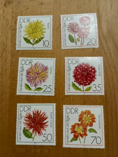 DDR 1979 Mi-Nr. DD 2435-2440 Blumen Dahlien Iga komplett postfrisch