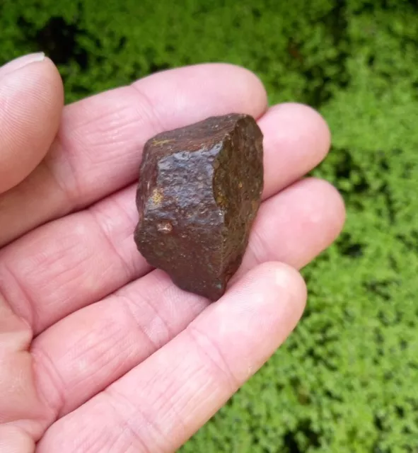 NWA 869 Chondrite Meteorite from North Africa 38 grams meteorites